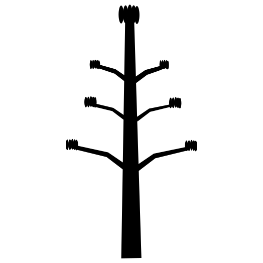 Quiote